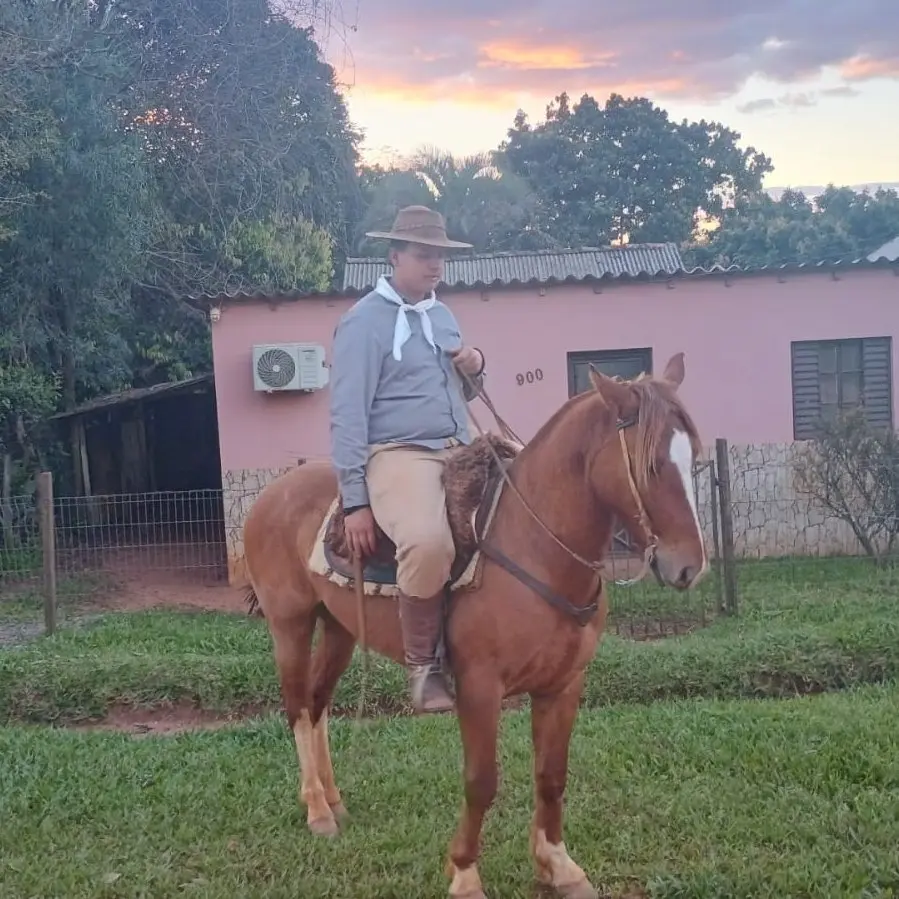 Foto de perfil de Gabriel Barbosa rosa