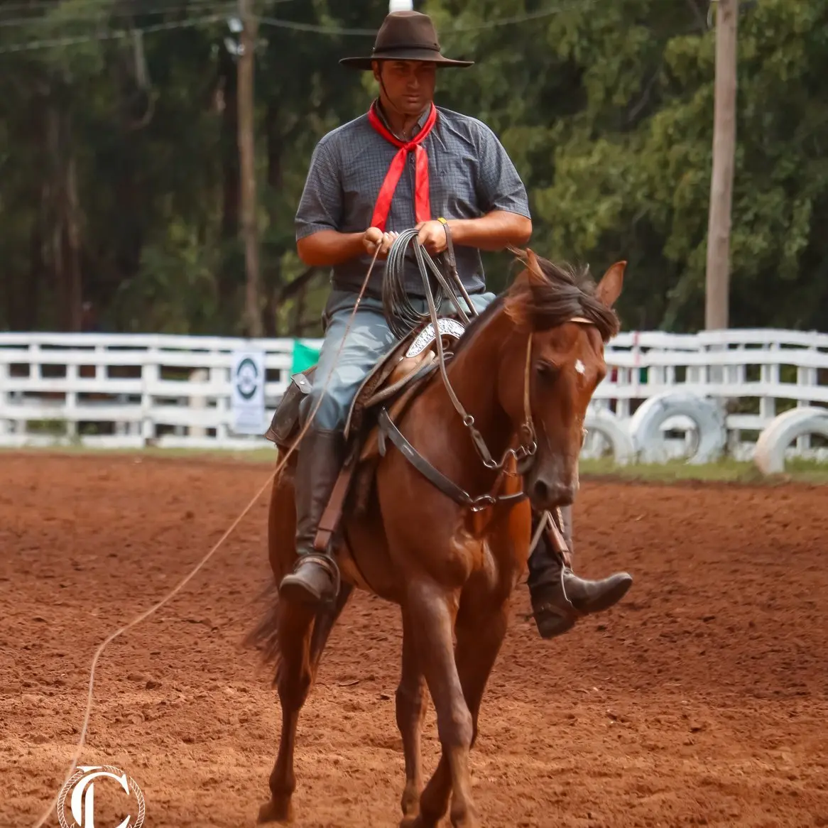 Foto de perfil de Jonas Pinto