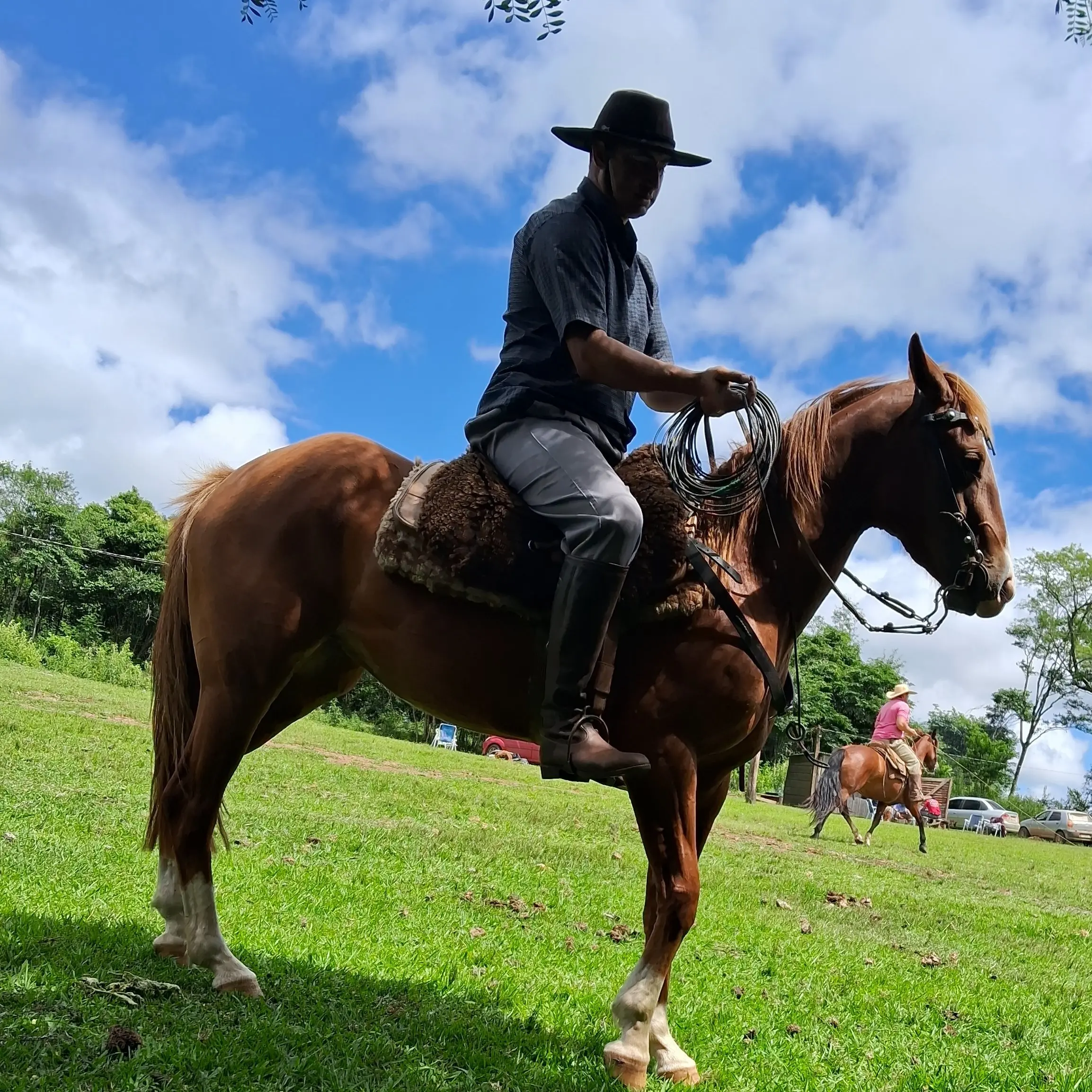 Foto de perfil de Jonas Pinto